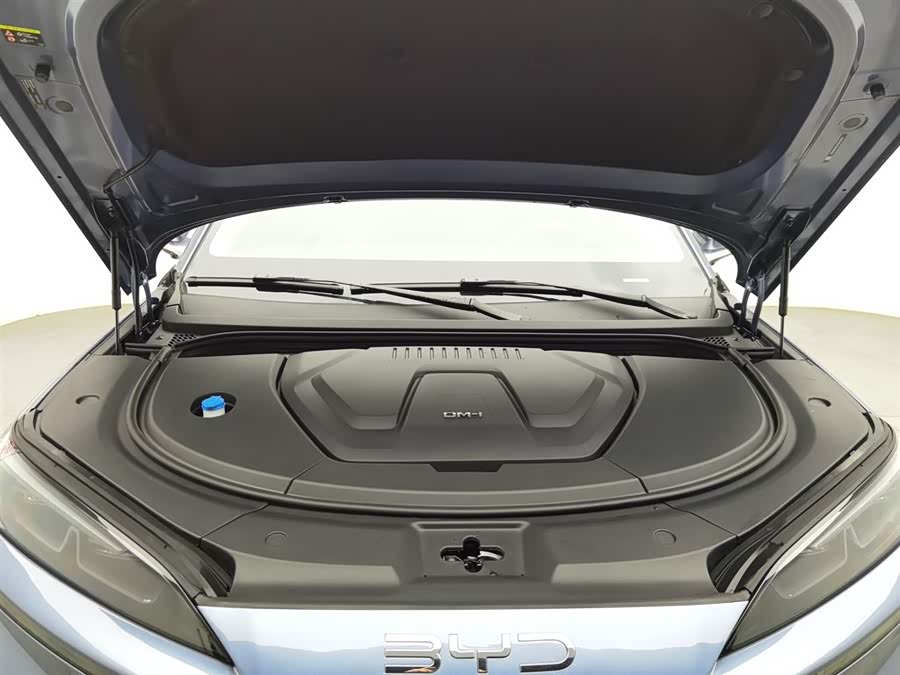 BYD Sea Lion 07 DM-i 2025 car image #7