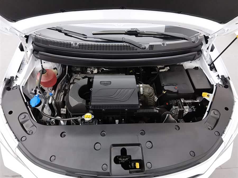 睿蓝汽车X3 PRO 2022 汽车图片 #7