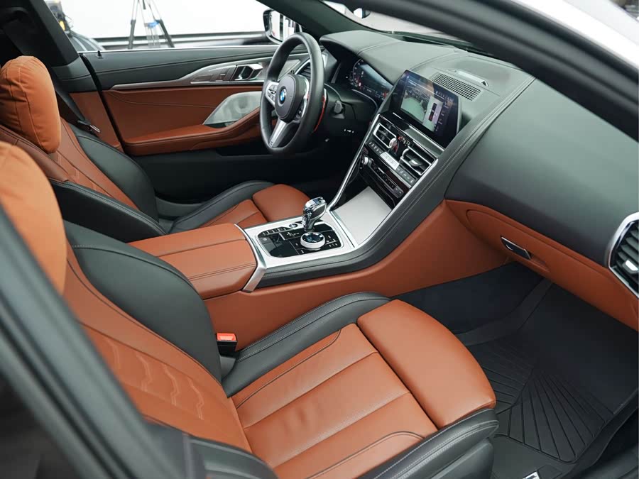 BMW 8 Series 2020 car image #7