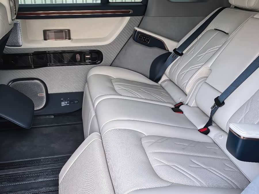 极氪 极氪MIX 2024 汽车图片 #7