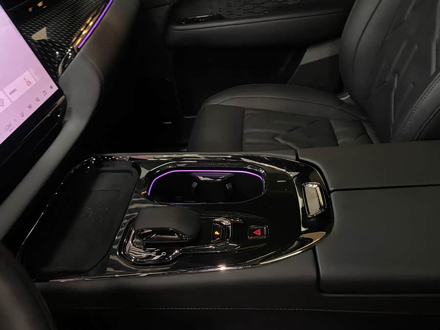 极氪 极氪009 2024 汽车图片 #7