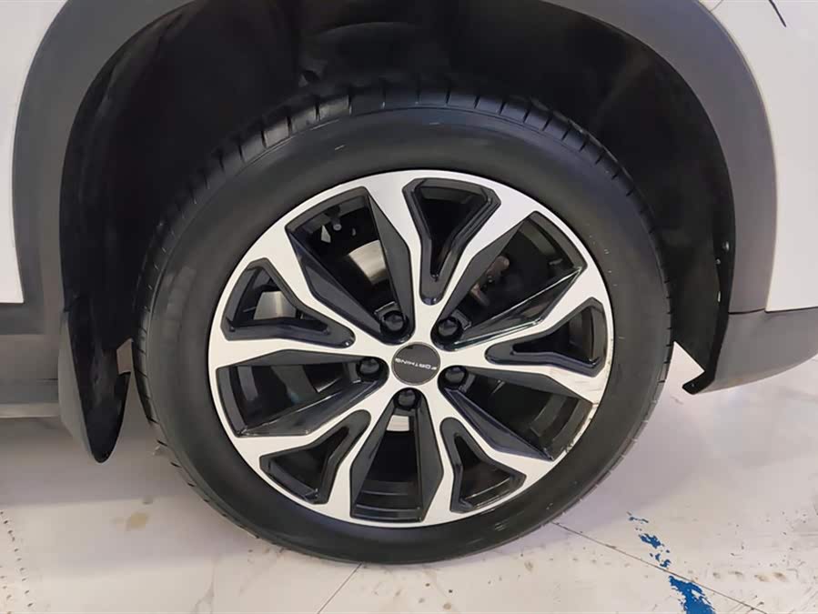 Forthing T5 2023 immagine di auto #7