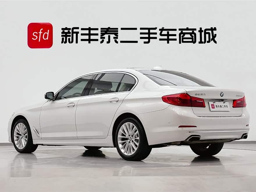 BMW 5 Series 2020 car image #7