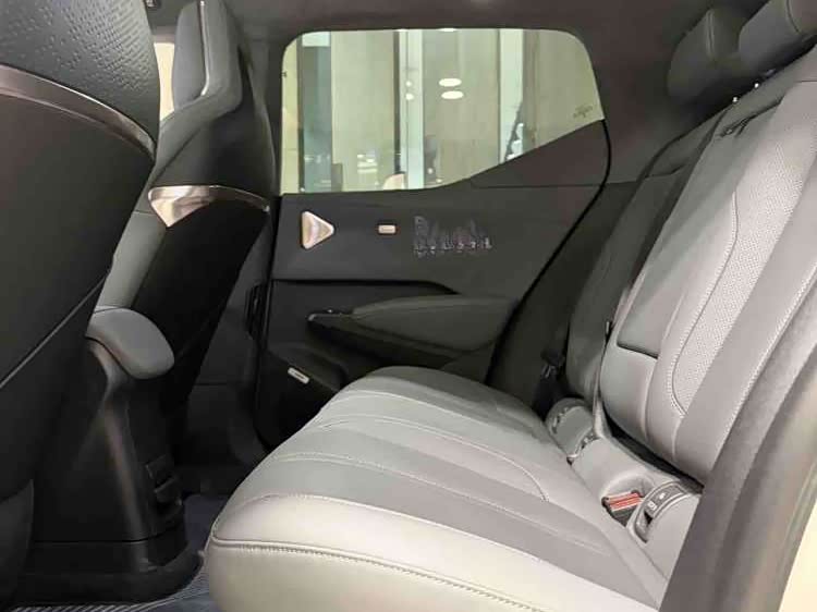 极氪 极氪X 2024 汽车图片 #7