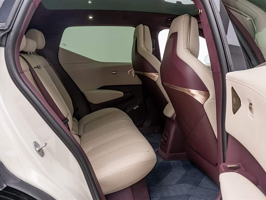 极氪 极氪X 2024 汽车图片 #7