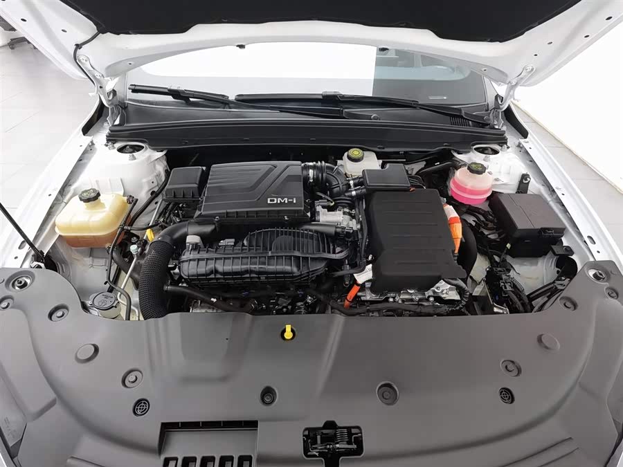 BYD Qin Plus 2022 immagine di auto #7