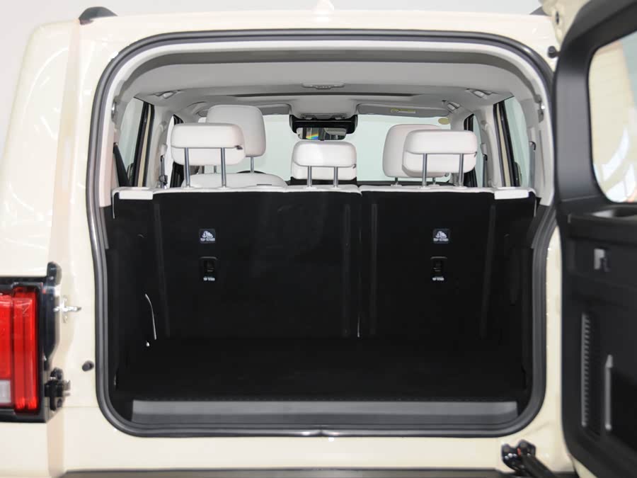 Tank 300 New Energy 2025 #7 Tank 300 New Energy 2025 car image #7