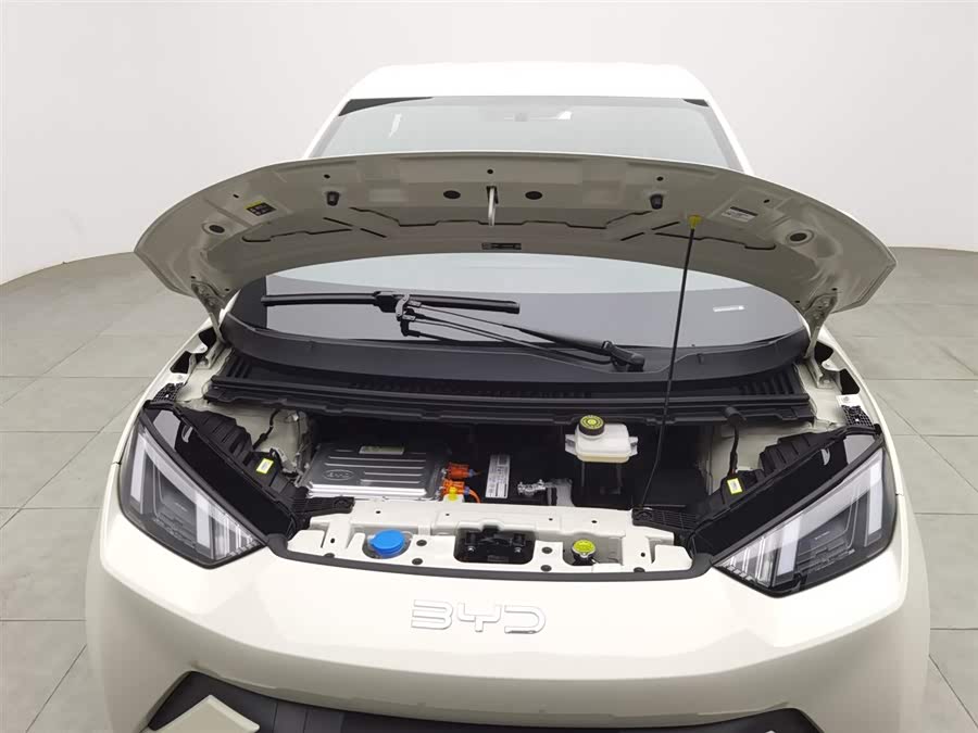 BYD Seagull 2024 immagine di auto #7