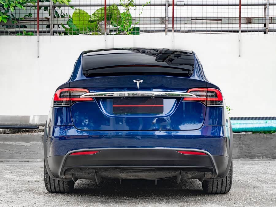Tesla Model X 2020 car image #7