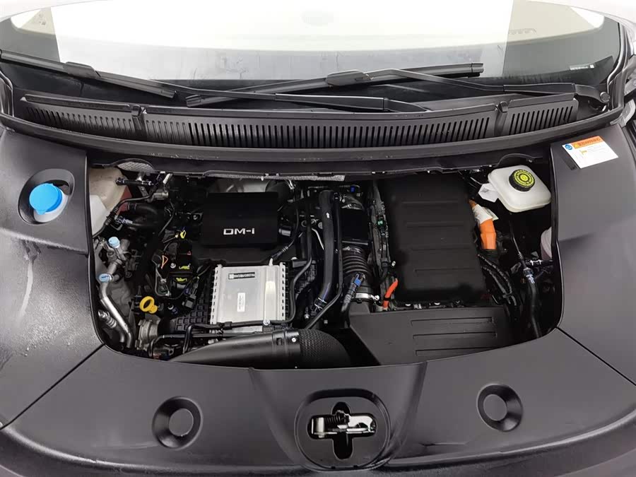 BYD Xia 2024 imagen de coche #7