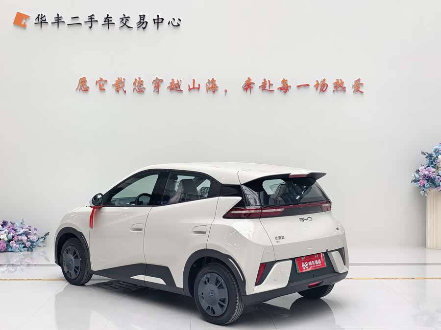 BYD Seagull 2025 #7 BYD Seagull 2025 immagine di auto #7