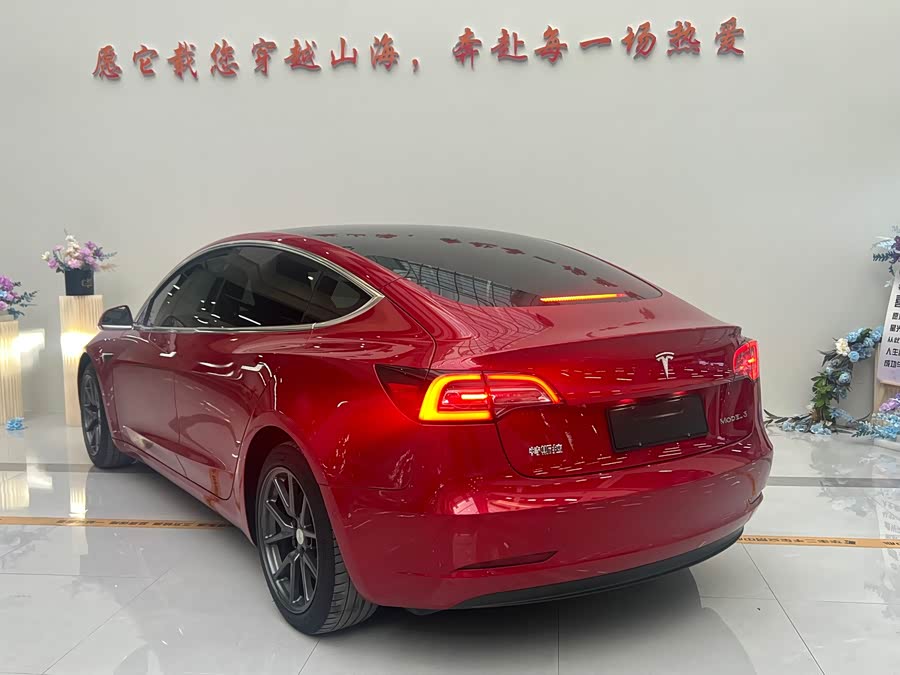 Tesla Model 3 2020 #7 Tesla Model 3 2020 car image #7