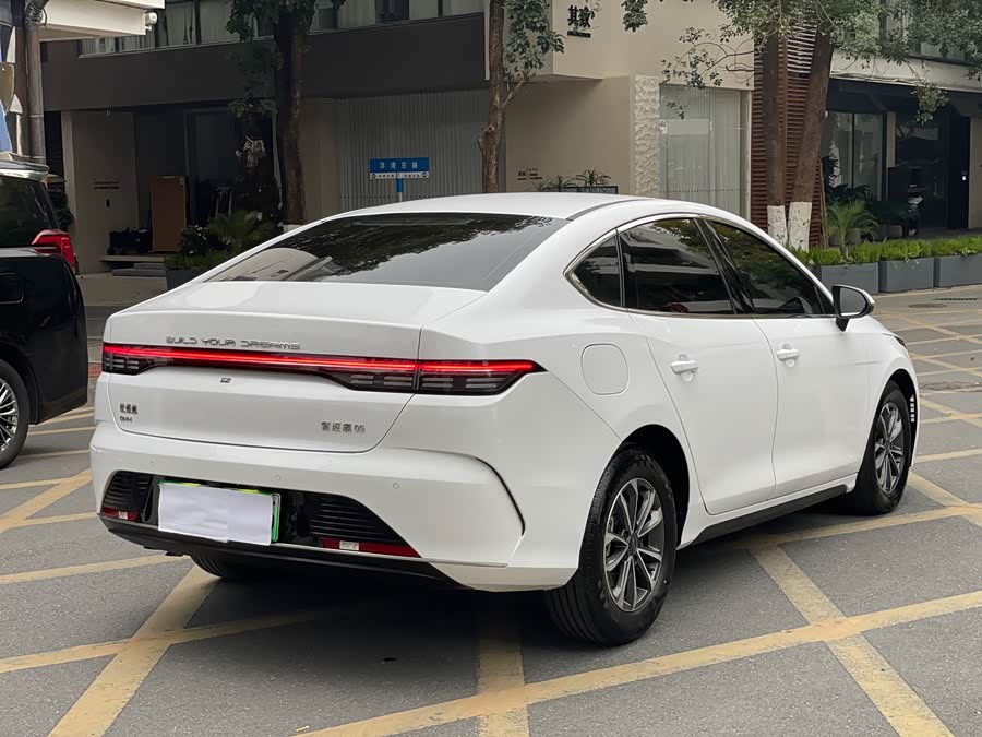 BYD Destroyer 05 2024 car image #7