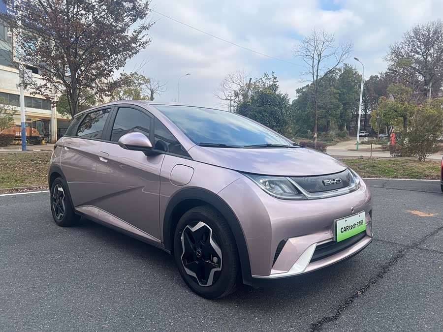 BYD Dolphin 2022 #7 BYD Dolphin 2022 car image #7