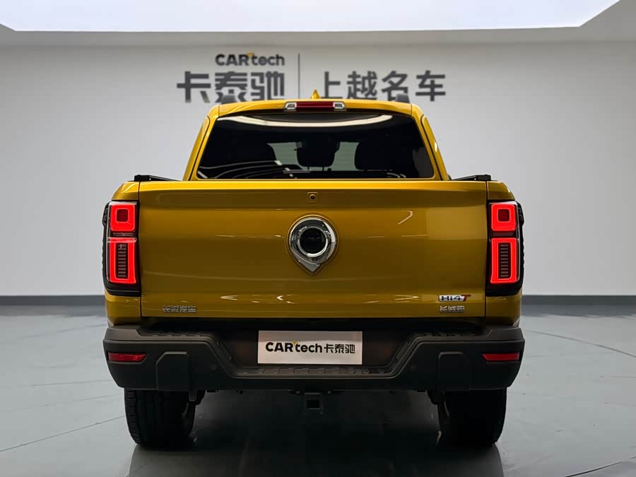 Great Wall Poer 2021 car image #7