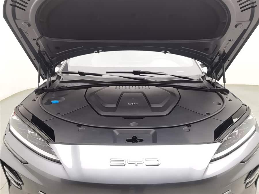 BYD Song Plus New Energy 2023 immagine di auto #7