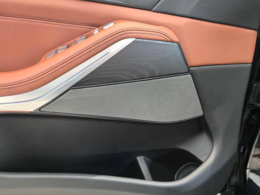 BMW X7 2021 car image #7