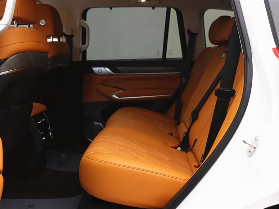 Tank 500 New Energy 2025 #7 Tank 500 New Energy 2025 car image #7