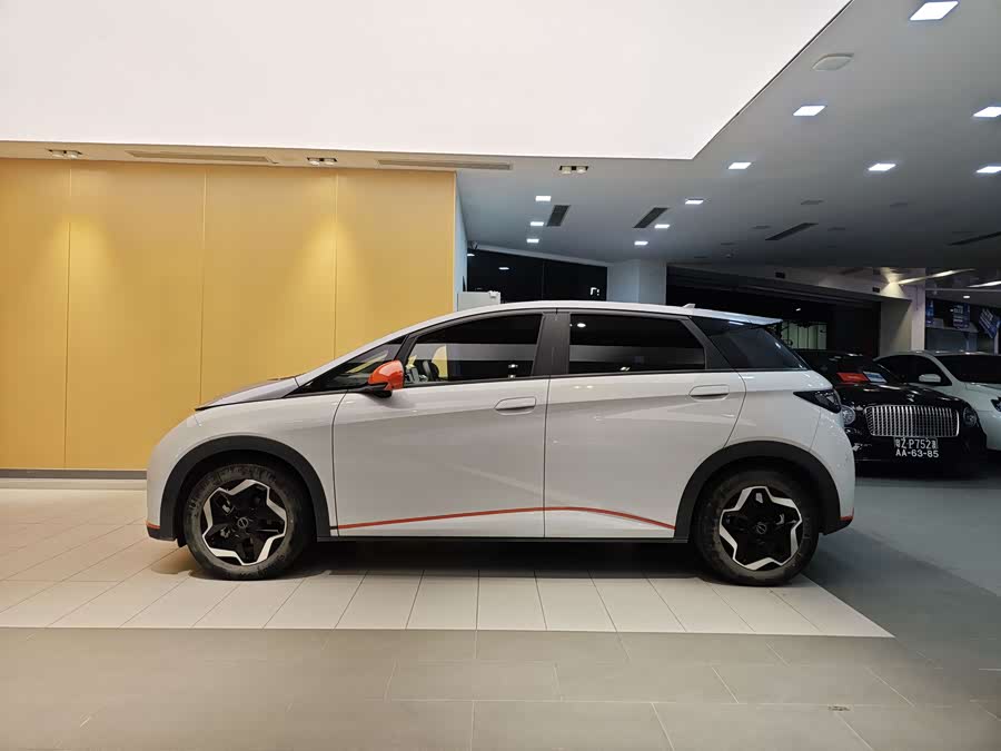 BYD Dolphin 2022 car image #7