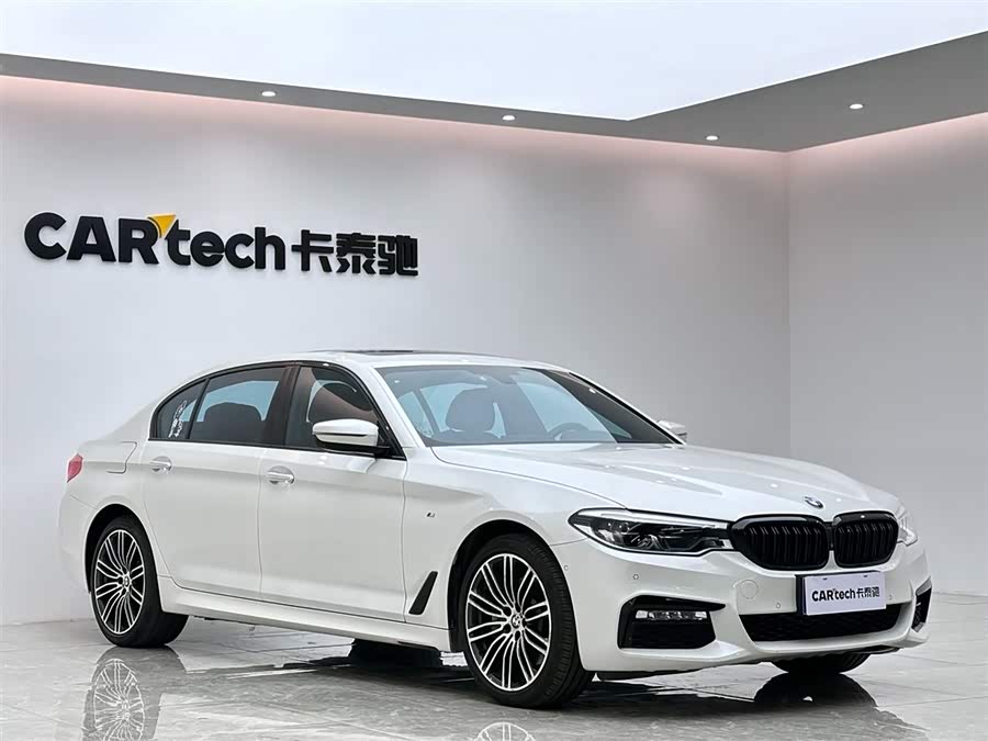 BMW 5 Series 2018 car image #7