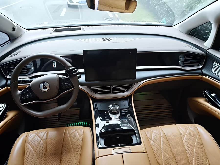 Denza D9 2023 car image #7