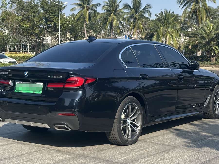 BMW 5 Series New Energy 2021 car image #7