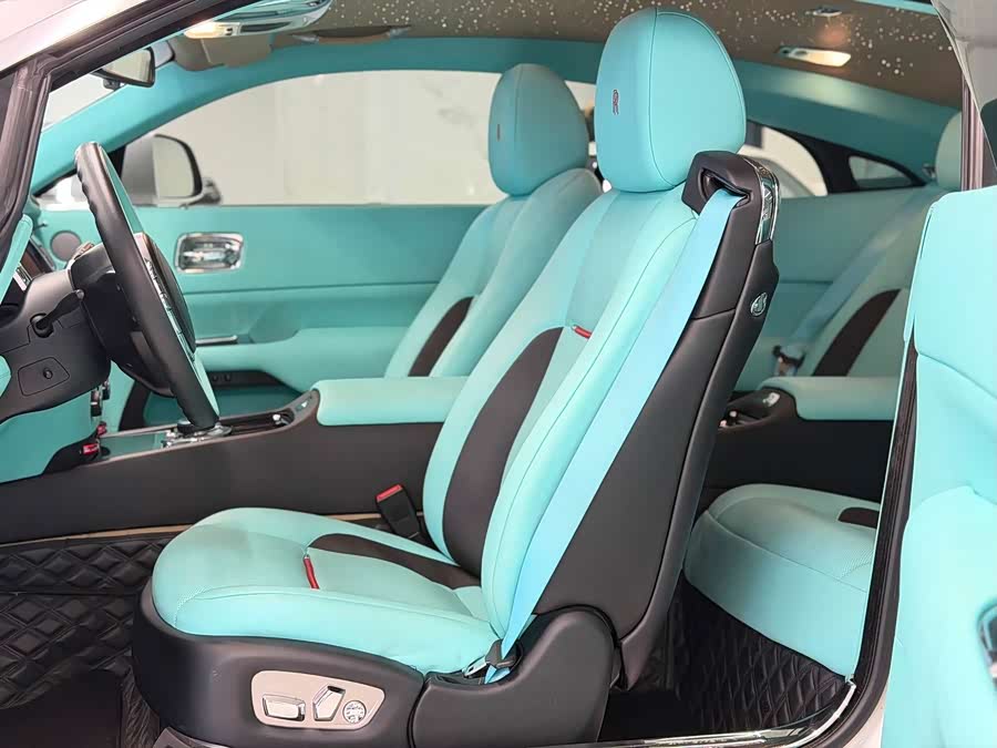 Denza Wraith 2014 car image #7