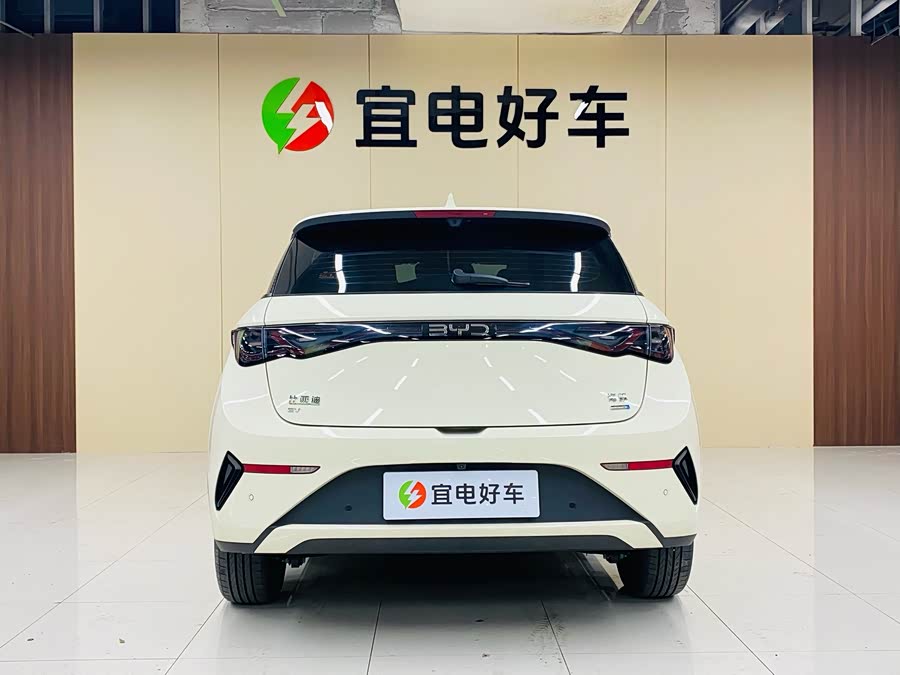 BYD Dolphin 2025 car image #7