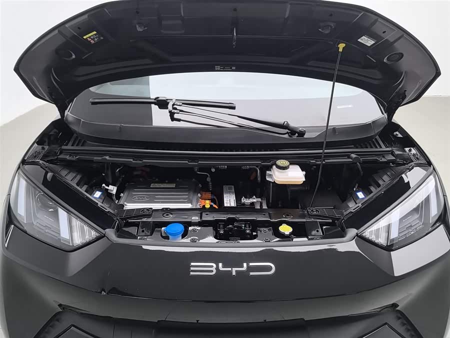 BYD Seagull 2024 immagine di auto #7