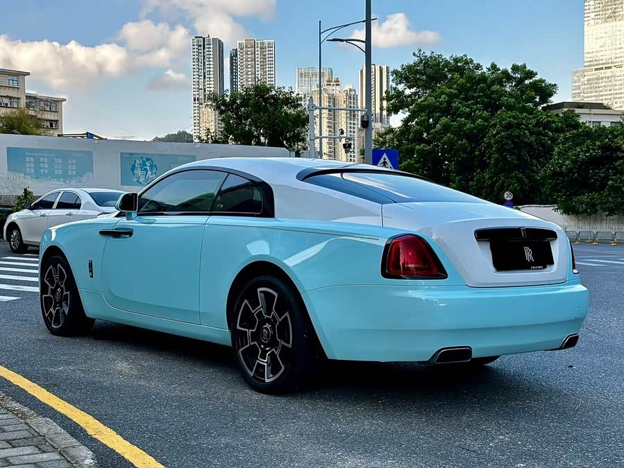 Denza Wraith 2014 immagine di auto #7