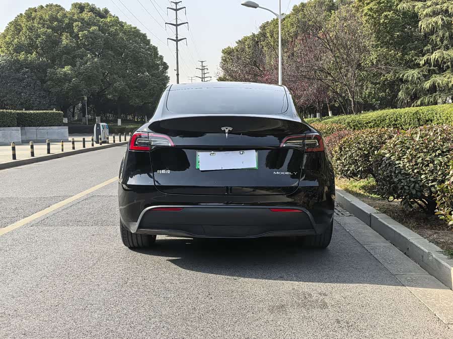 Tesla Model Y 2021 car image #7