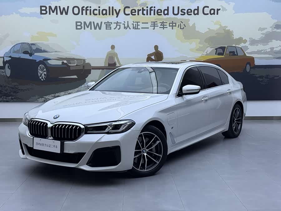 BMW 5 Series New Energy 2020 car image #7