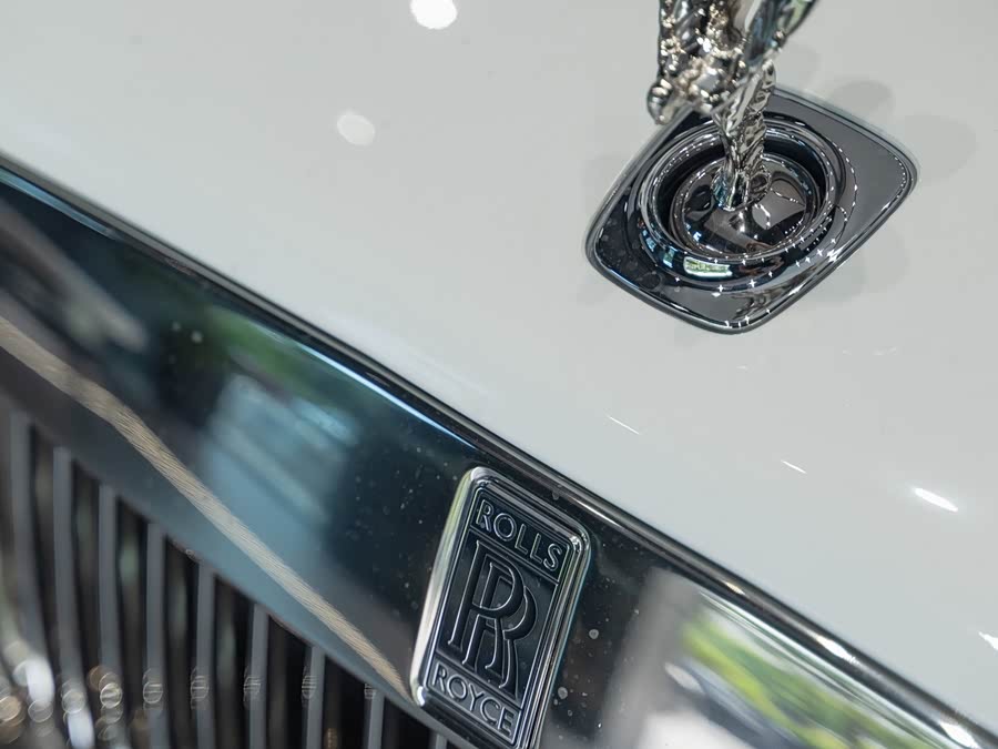Denza Wraith 2022 #7 Denza Wraith 2022 immagine di auto #7