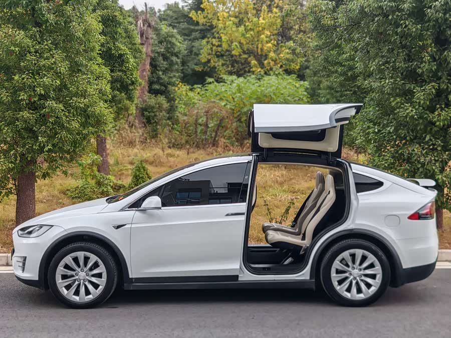 Tesla Model X 2018 immagine di auto #7