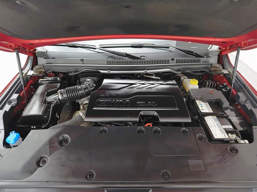 Great Wall Shanhai Pao 2023 car image #7