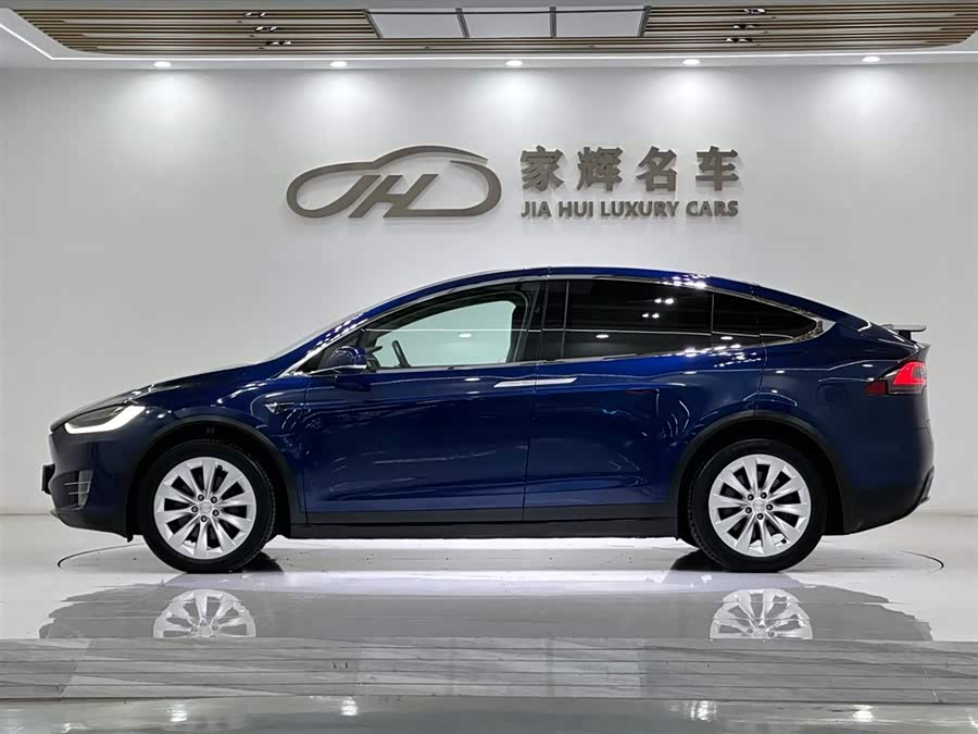 Tesla Model X 2018 car image #7