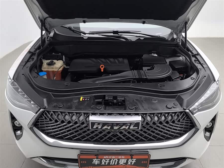 Haval F7 2020 car image #7