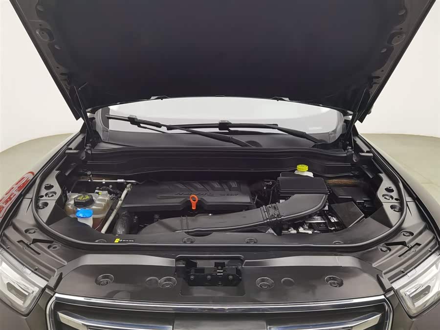 Haval H6 2020 car image #7
