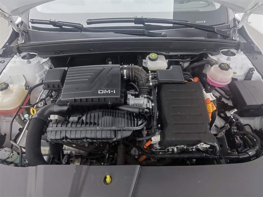 BYD Destroyer 05 2023 car image #7