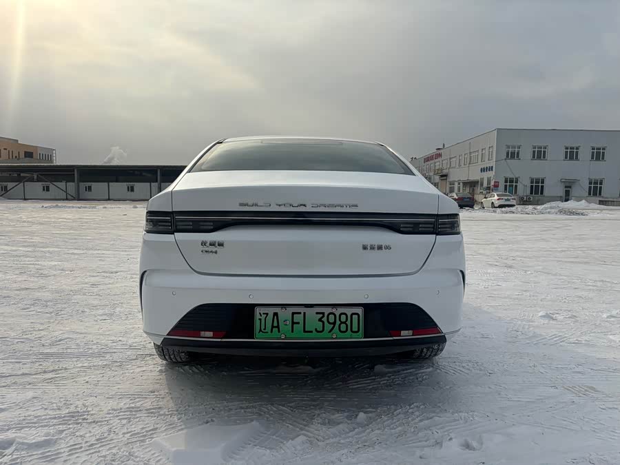 BYD Destroyer 05 2024 car image #7