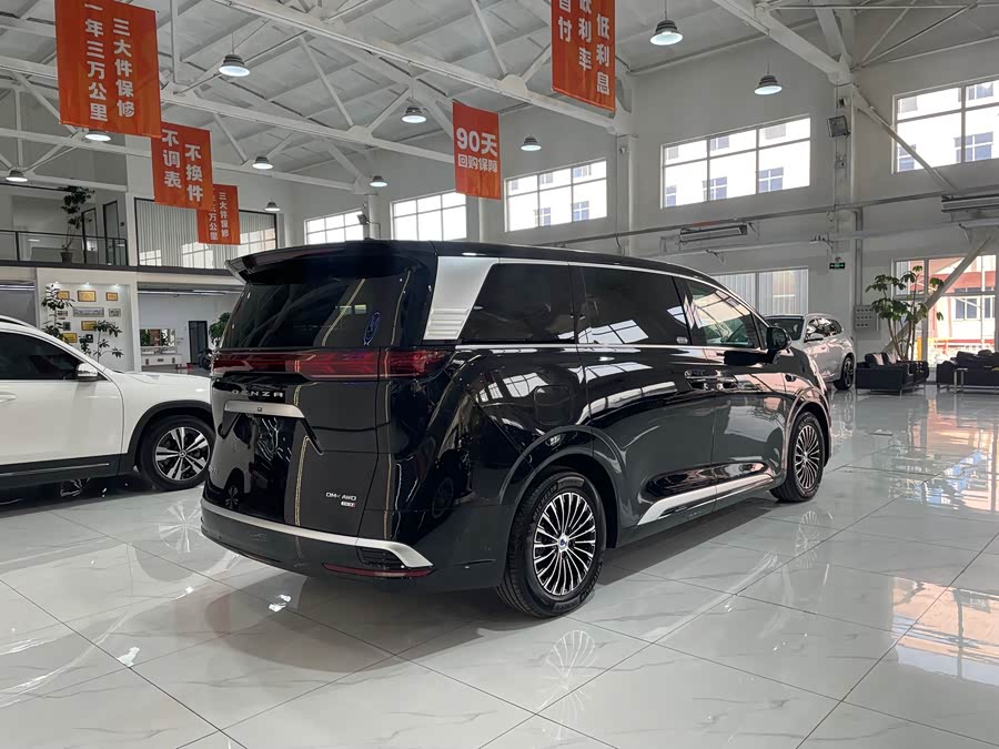 Denza D9 2025 imagen de coche #7