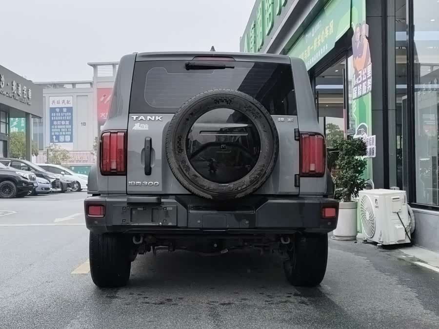 Tank 300 2022 صورة سيارة #7