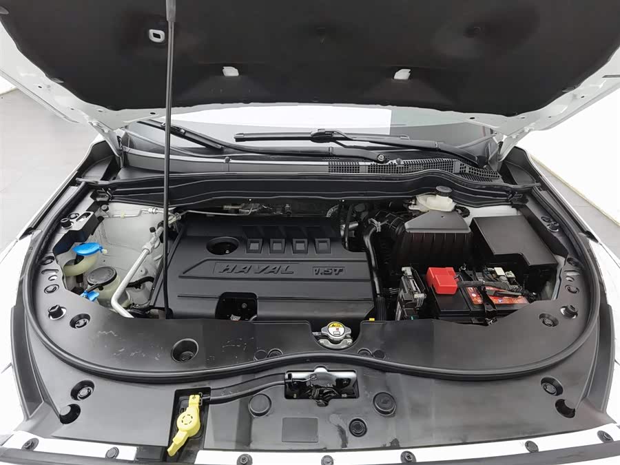 Haval M6 2020 car image #7