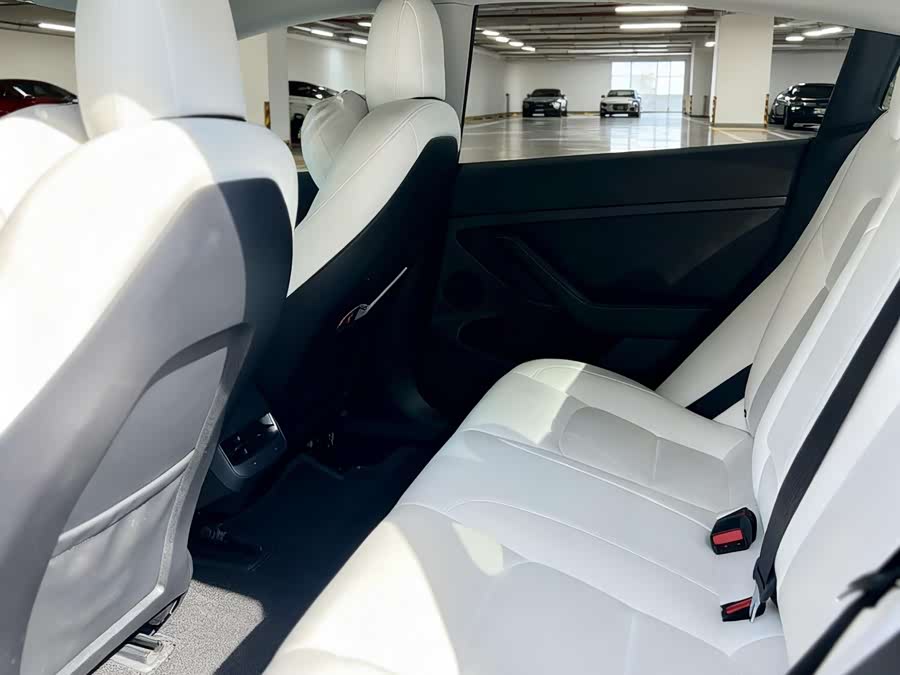 Tesla Model 3 2023 immagine di auto #7