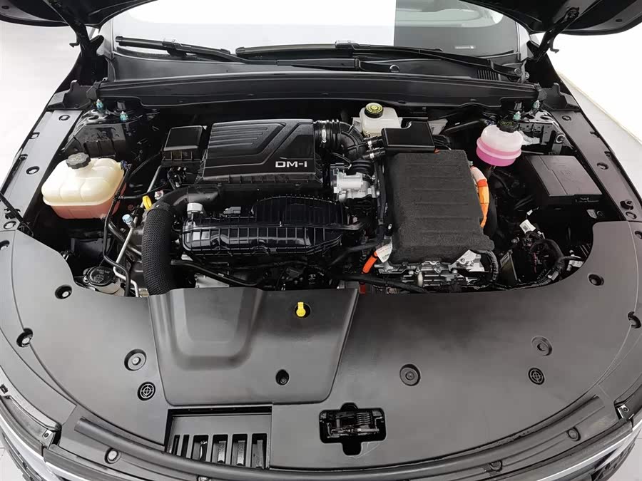 BYD Destroyer 05 2024 car image #7