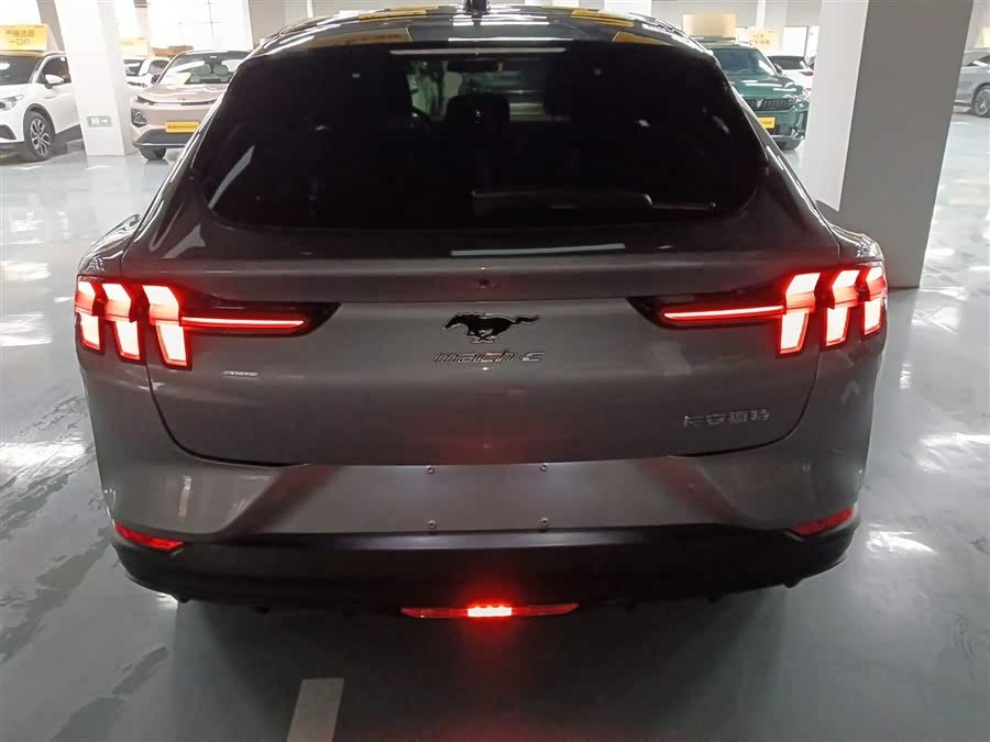 Ford Mustang Mach-E 2022 car image #7