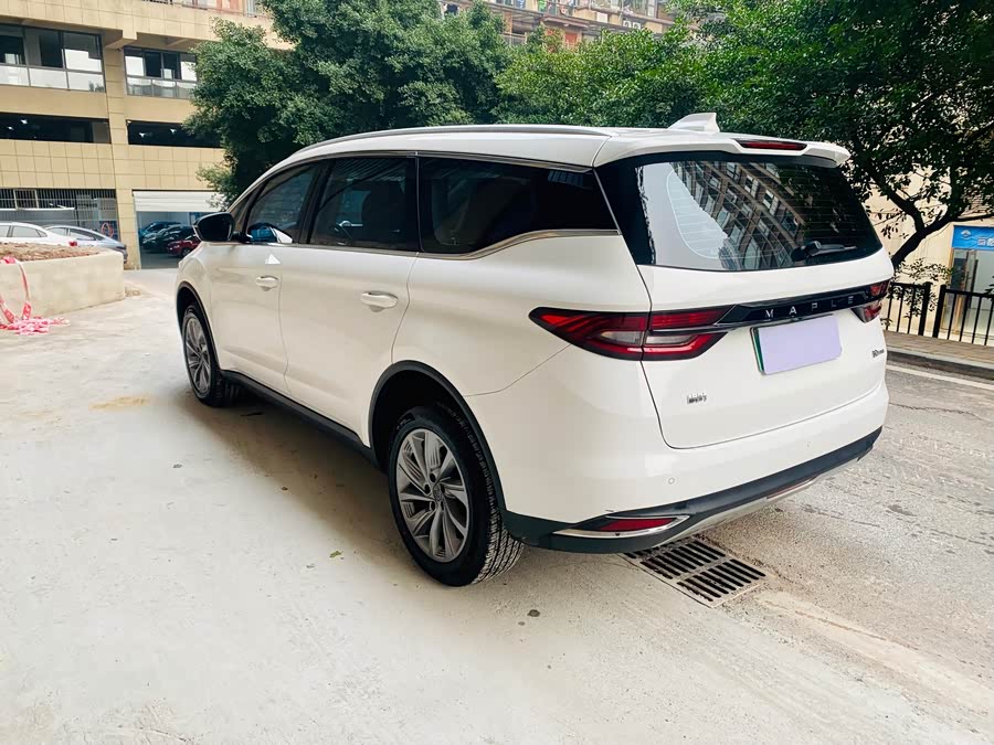 睿蓝汽车 枫叶80v PRO 2023 汽车图片 #7