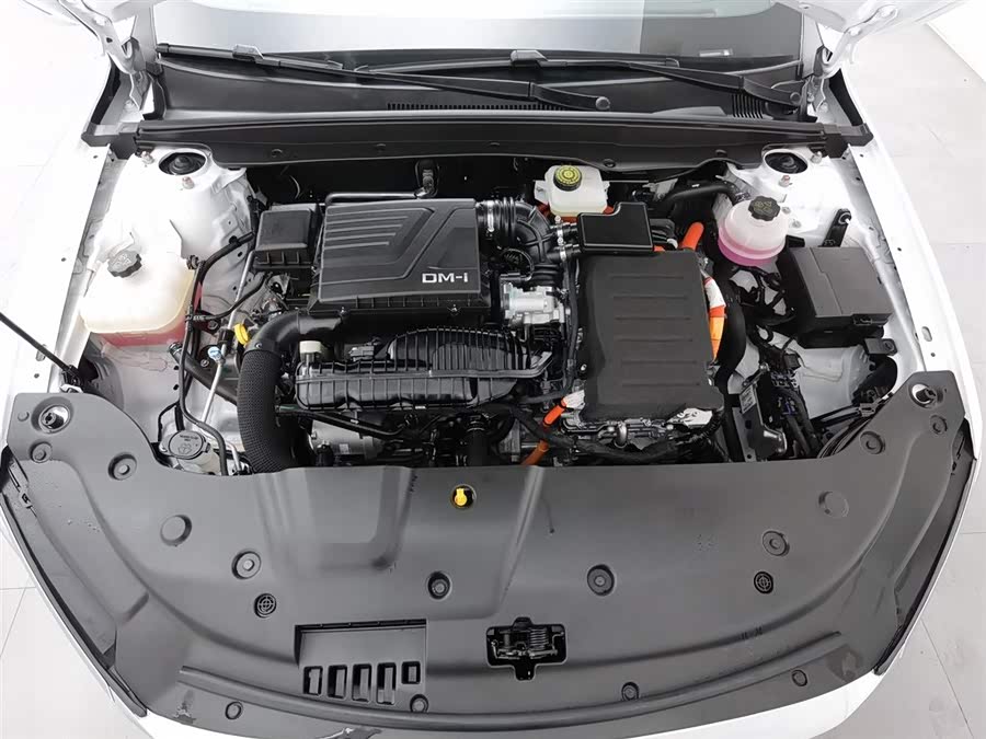 BYD Qin Plus 2025 صورة سيارة #7