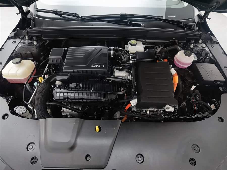 BYD Destroyer 05 2023 car image #7