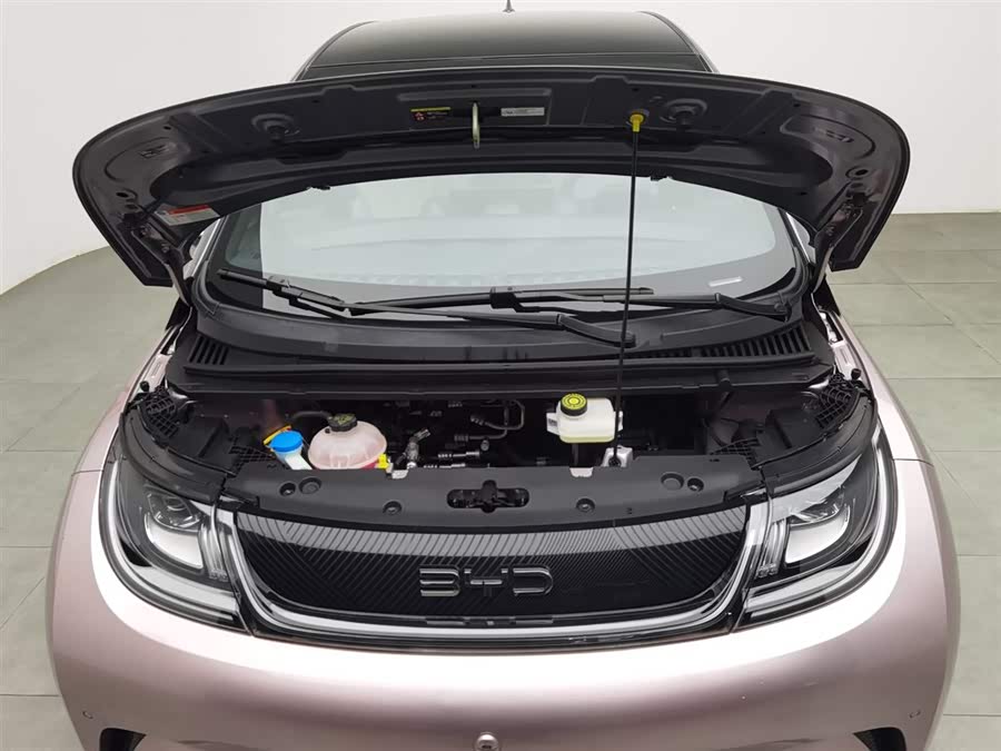 BYD Dolphin 2023 car image #7